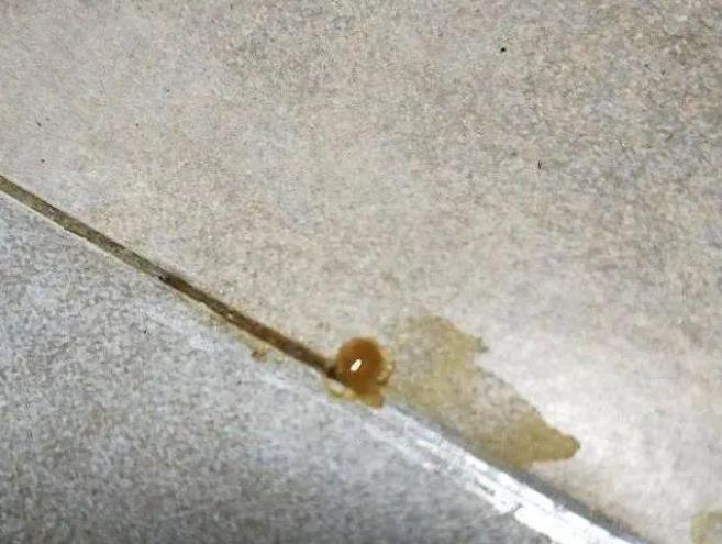 瓷砖美缝失败,不是什么情况都适合返工(图1) 瓷砖美缝失败,不是什么情况都适合返工(图1)
